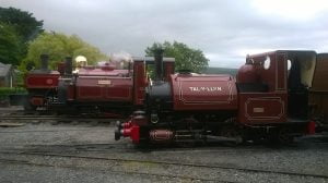 Russell, Prince and Talyllyn all lined up at Tywyn Wharf