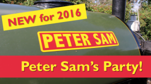 Peter Sams Party