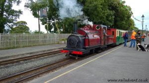 Prince at Dinas with a Shuttle Train to Beddgelert
