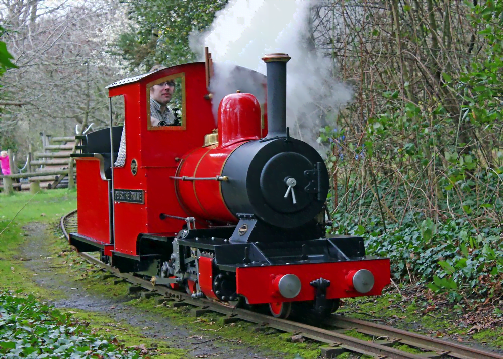 No. 4 Peter the Private on the Royal Victoria Railway