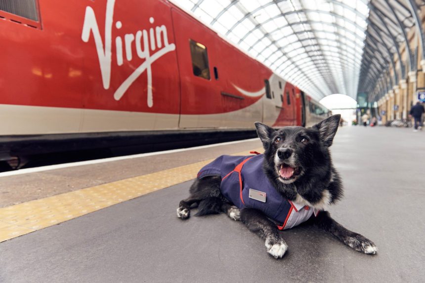 Jake The Dog // Credit: Virgin Trains