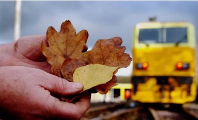 Autumn is coming... // Credit: London Midland