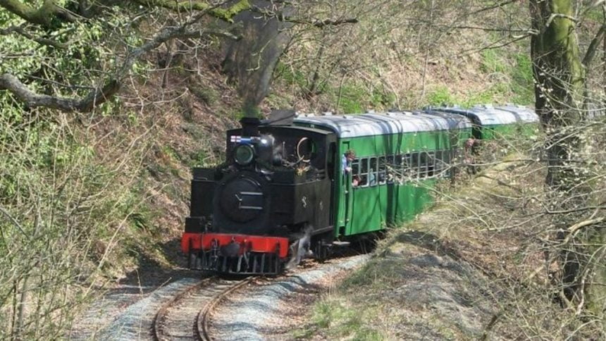 85 on the Welshpool and Llanfair Light Railway