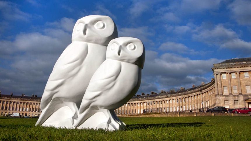 Minerva's Owls in Bath