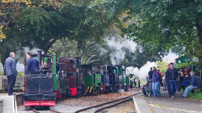 Leighton Buzzard Railway steam gala