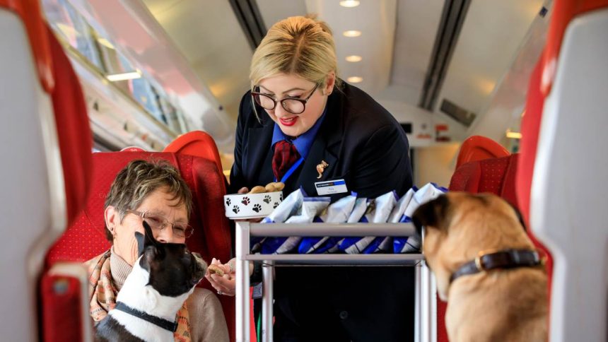 East Midlands Trains, dogs on board.