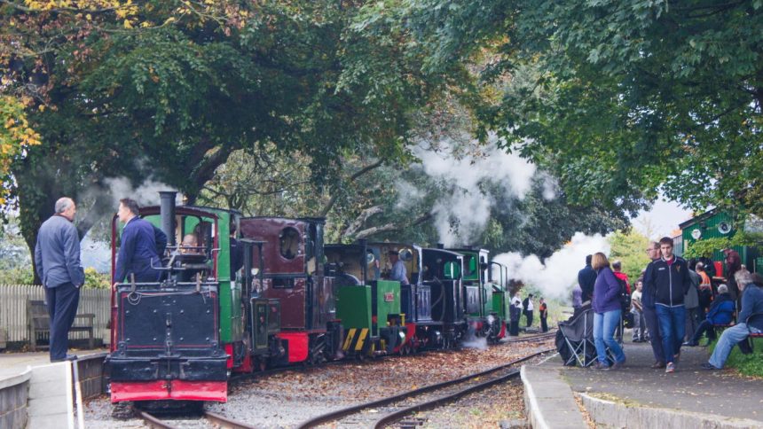 Steam loco cavalcade at Page's Park, Chaloner leading. 30/09/17.