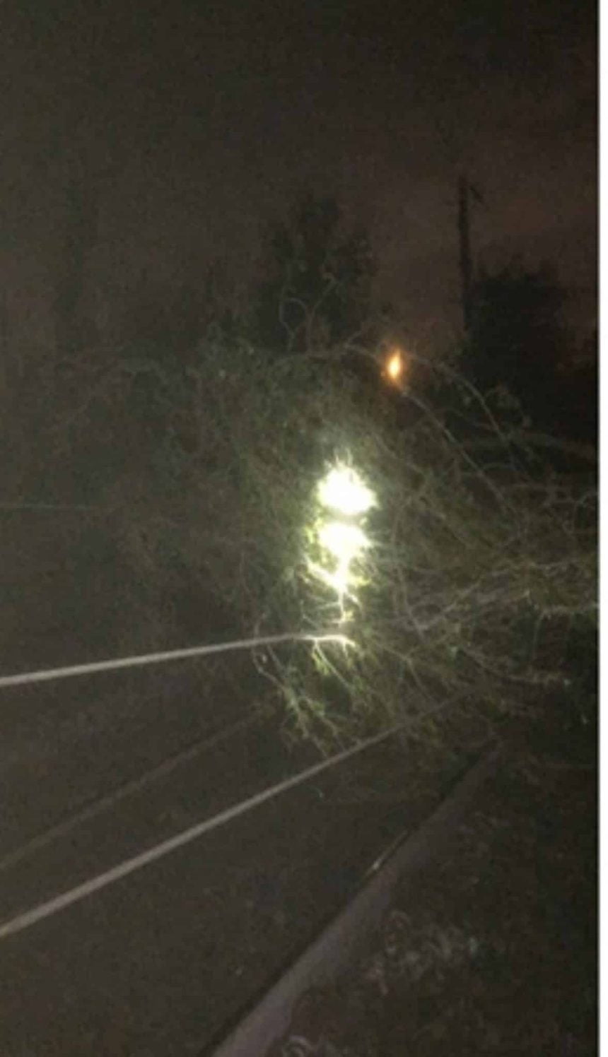 West Midlands Railway trains delayed due to tree on line