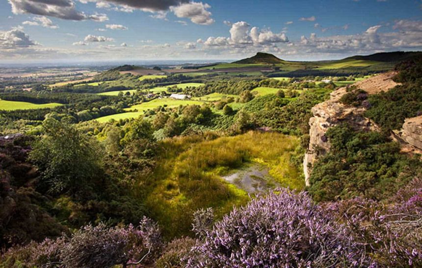 Roseberry Topping from Gribdale, North York Moors National Park