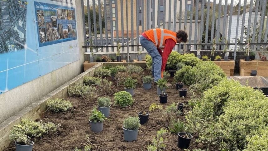 Thameslink have engaged environmental charity Groundwork to make Elstree & Borehamwood station greener