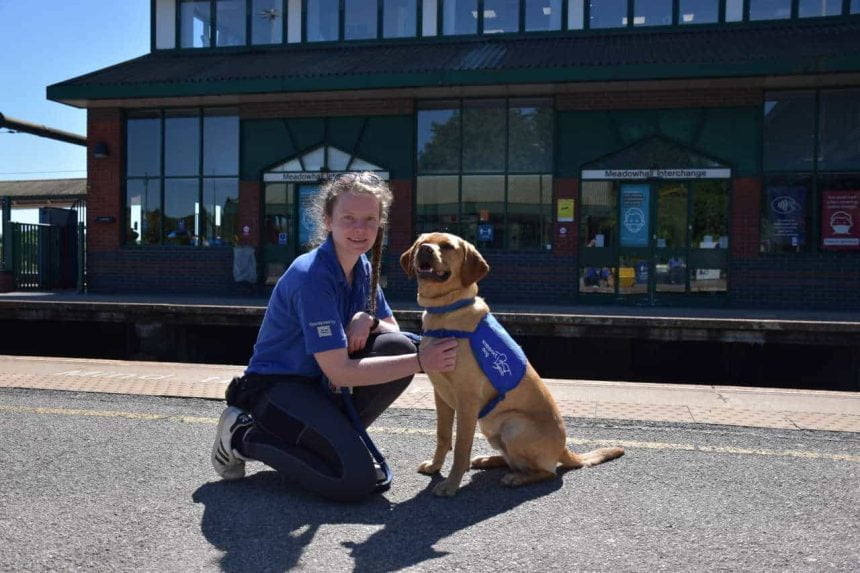 Sheffield Support Dogs on Northern services