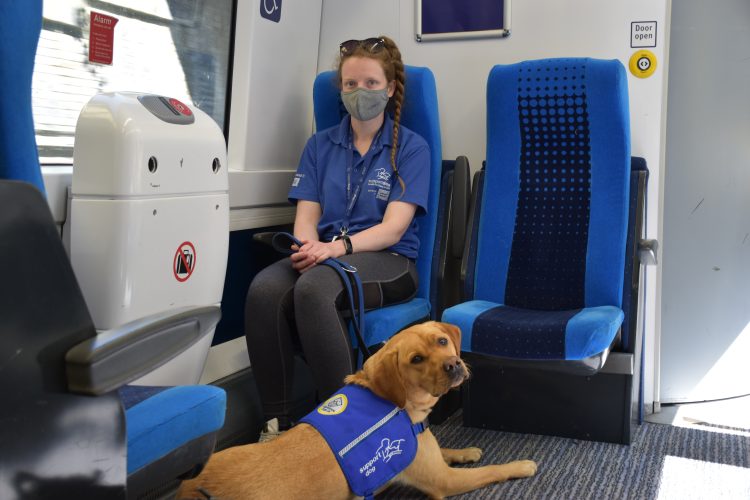 Sheffield Support Dogs on Northern services
