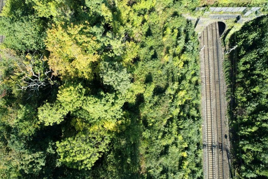 Aerial railway vegetation