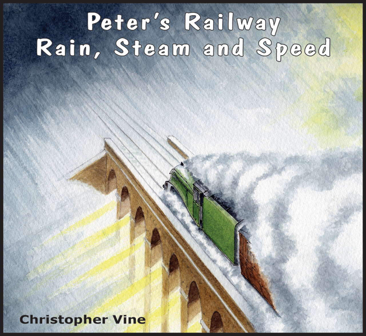 Speed steam rain turner фото 112