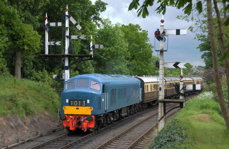 Class 46 No D182 (46046) at the SVR 2016 Diesel Gala, credit Ian Murray