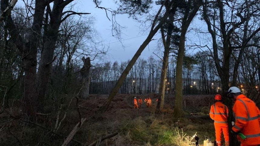 Dangerous tree in Cumbria removed by Network Rail