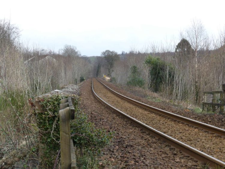 West Highland Line Vegetation Clearance and Tree Planting