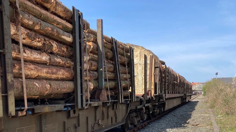 Timber ready to be transported to Chirk