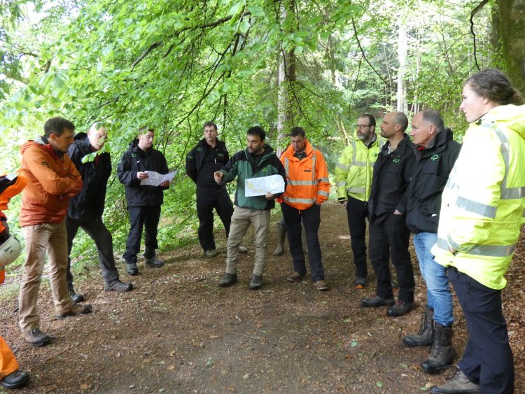 Network Rail and Forestry and Land Scotland exploring areas of shared interest