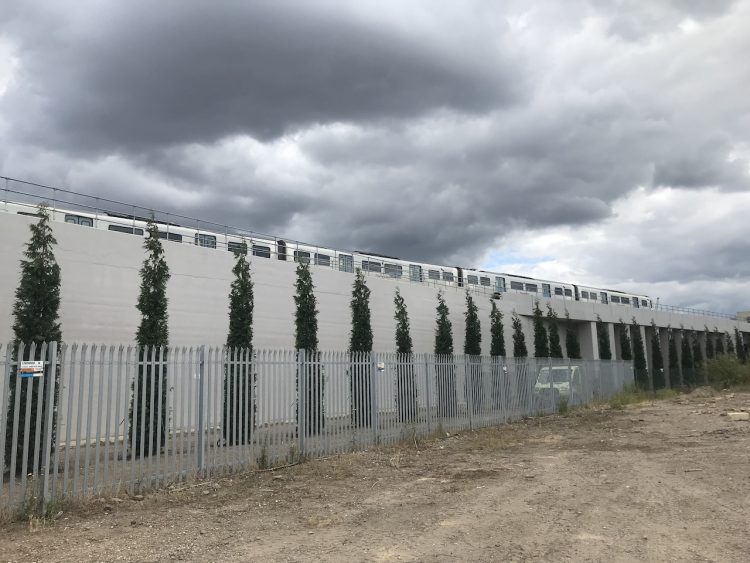 Network Rail plants trees to deal with graffiti hotspot in South London