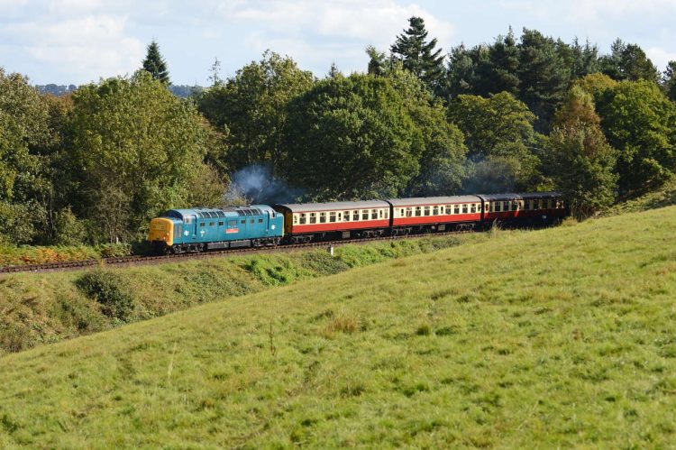 Deltic, 55019 Royal Highland Fusilier climbs the gradient along the Severn Valley Railway on the approach to Bridgnorth during the October 2014 diesel gala.