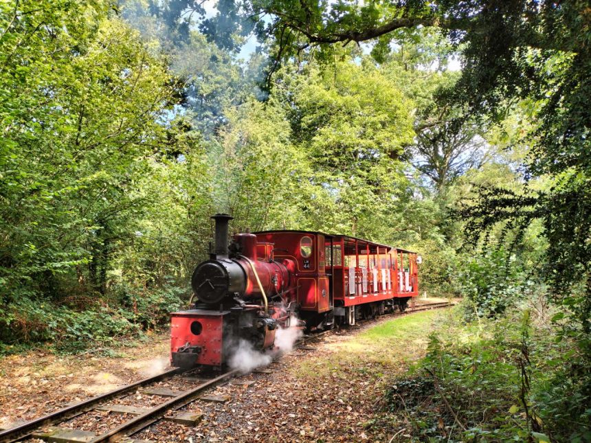The Stradbally Woodland Railway's 19-49 built steam loco, No 2 Róisín, climbs the hill back toward the line's station during the biocoal trials in September.
