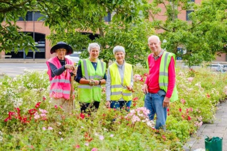Station adopters in the rose bed at Norwich station.