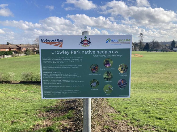 A new sign with information about the hedgerow and hints for spotting wildlife