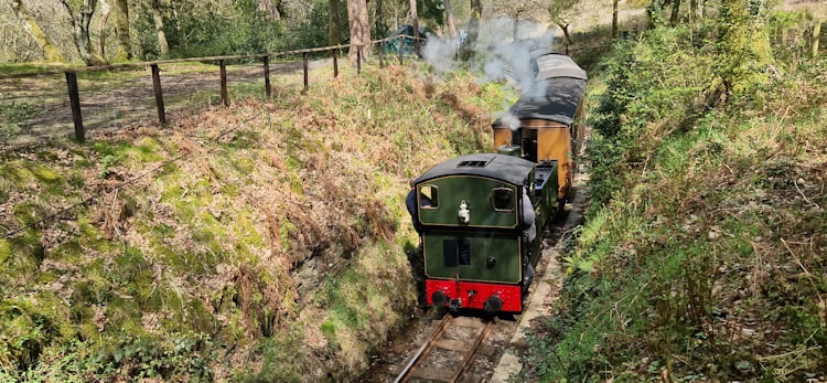 0-4-2 'Tom Rolt' is seen pulling away from Dolgoch Station after dropping us off. 