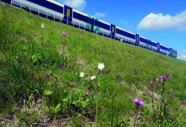 Improving railway biodiversity