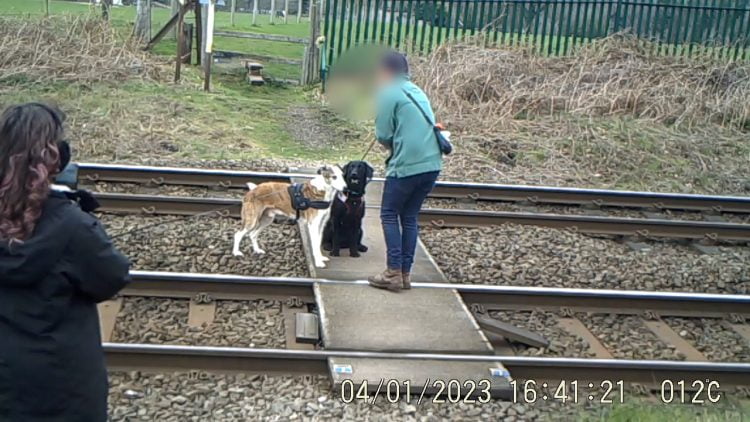 Two dog walkers take photos of their dogs on level crossing // Credit: Network Rail
