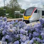 Greater Anglia train passes through Great Bentley railway station