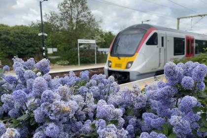 Greater Anglia train passes through Great Bentley railway station