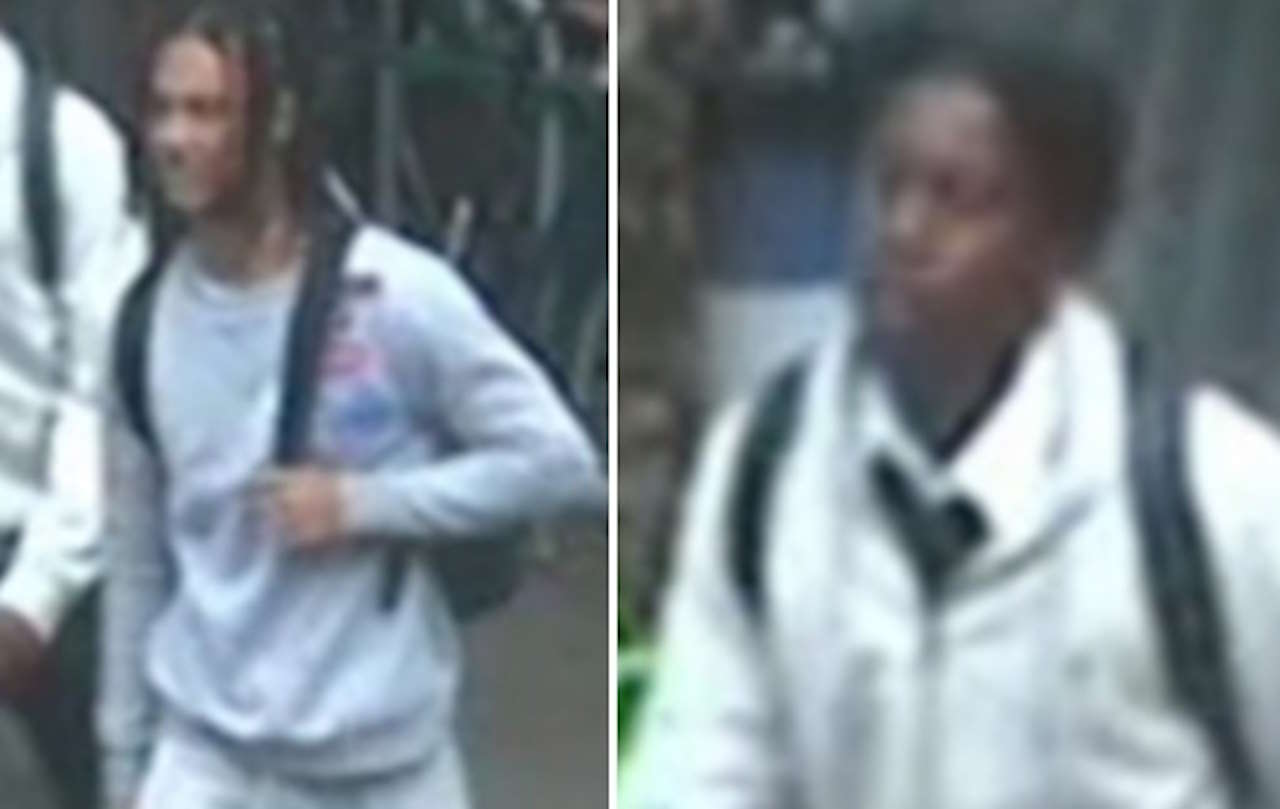 Detectives in public appeal following South London robberies