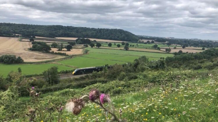 Green Down nature reserve with GWR train on the Castle Cary line
