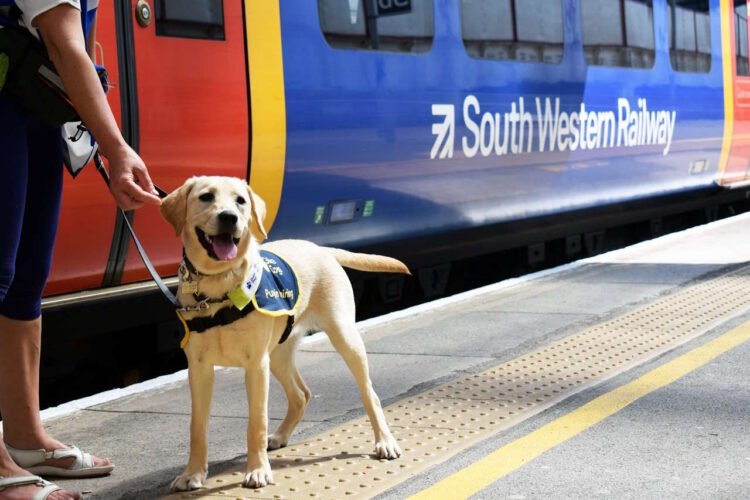 Funding for Guide Dogs. // Credit: South Western Railway
