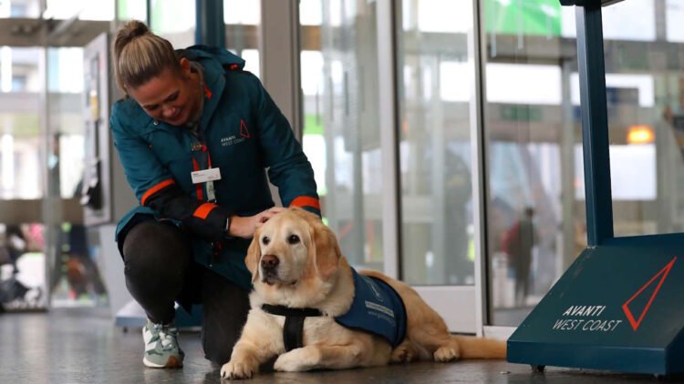 Volunteer with a Guide Dog. // Credit: Avanti West Coast 