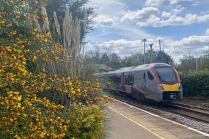 A Greater Anglia train passing through Brundall