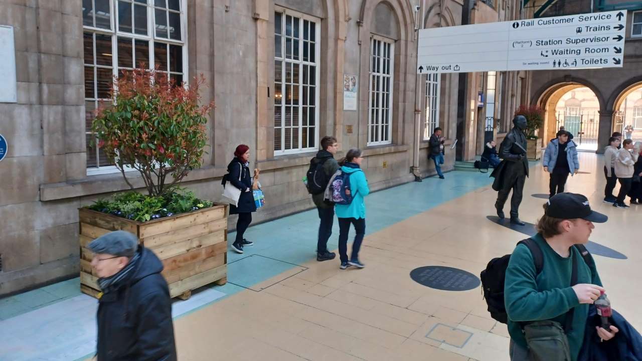 The new trees fit well into their new surroundings as passengers make their way about the concourse at Hull Paragon. // Credit: TransPennine Express