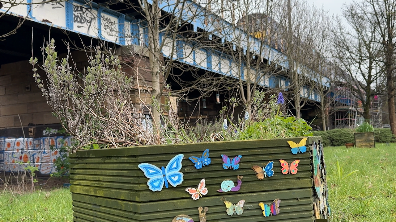 Bee garden next to Yorkhill viaduct. // Credit: Network Rail