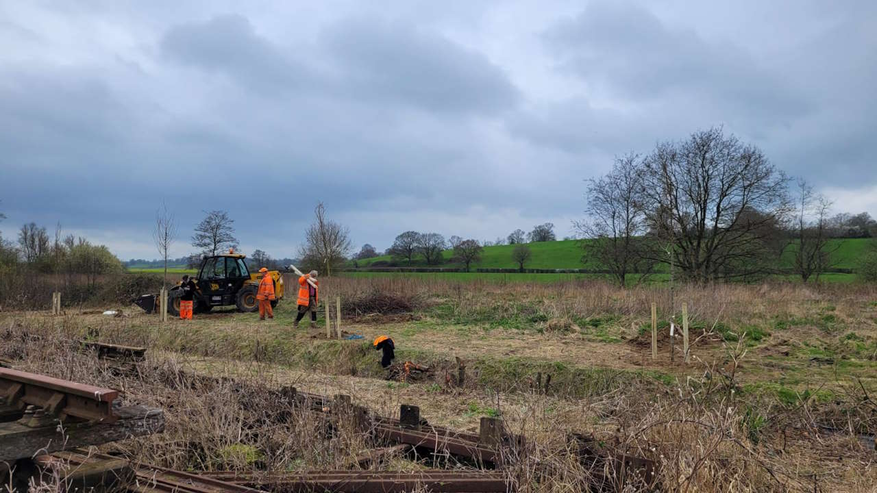 Elm tree planting at Rolvenden. Credit: Sioux Thorn.